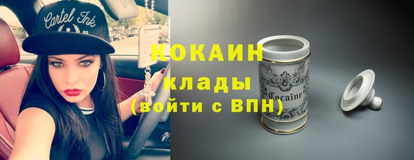 PSILOCYBIN Корсаков